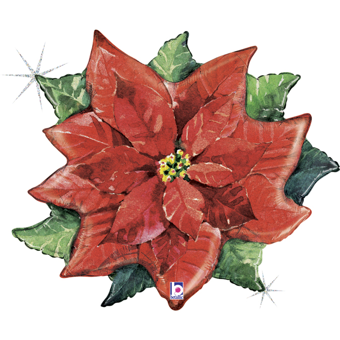 [GRABO]은박 워커칼라 포인세티아 34인치 