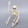 https://www.joypartyb2b.co.kr/data/item/79912/thumb-IMG_6130_100x100.jpg
