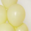 https://www.joypartyb2b.co.kr/data/item/80556/thumb-Lemonade_100x100.jpg