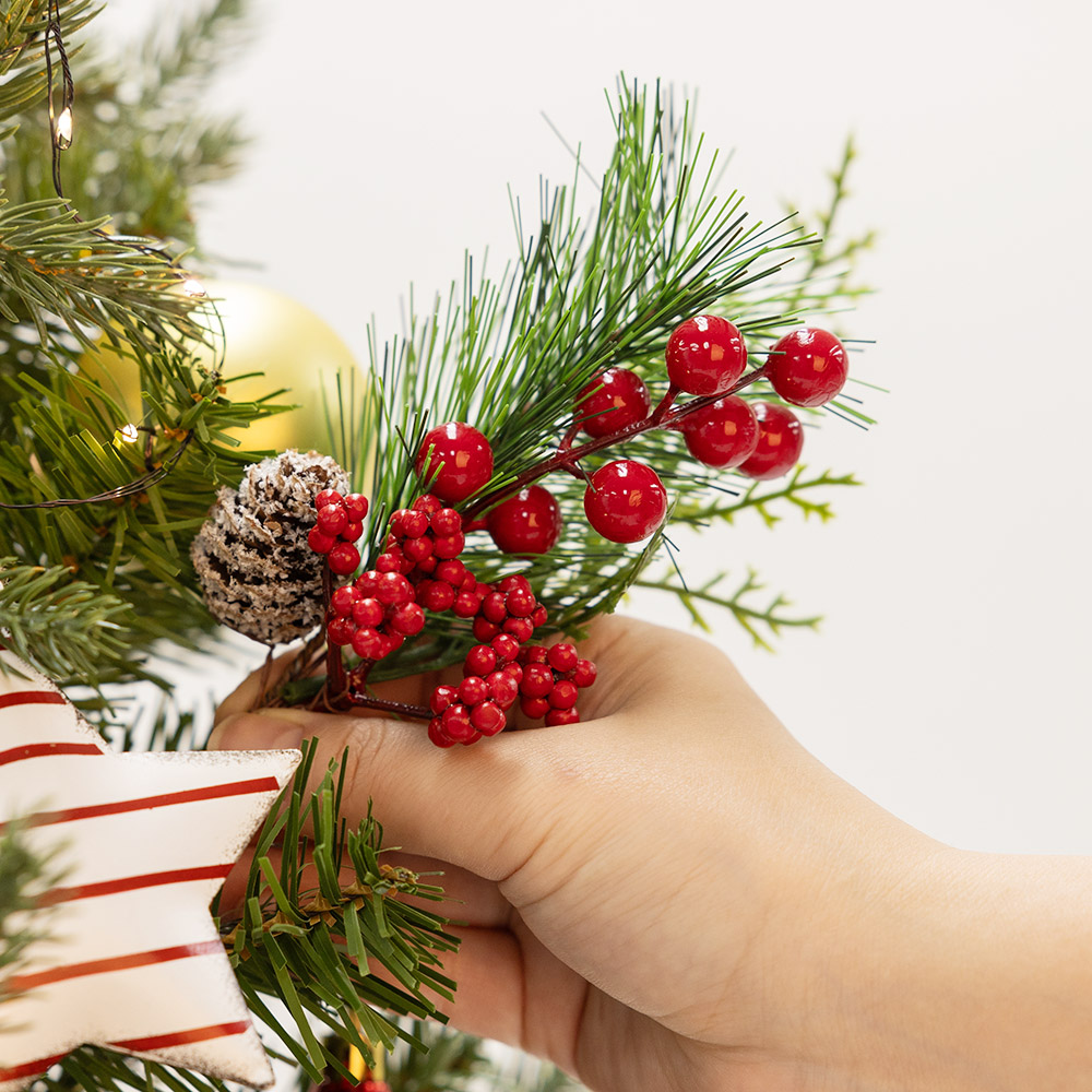 열매픽 20cm [10개한팩]